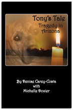 Tony's Tale. Tragedy in Arizona